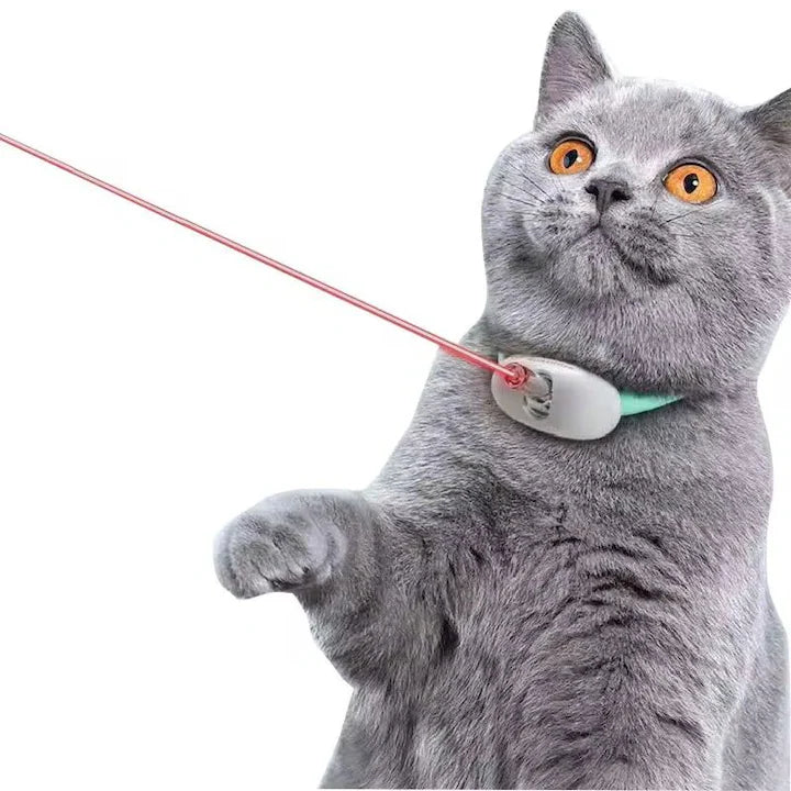 Zgardă pentru Pisici cu Laser Rotativ